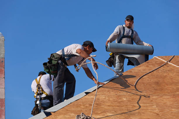 Best Local Roofing Companies  in Unicoi, TN